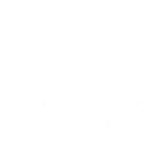 Script Anatomy Coupons