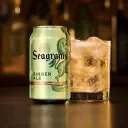 Seagram's Ginger Ale Promo Codes