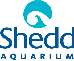 Shedd Aquarium Promo Codes