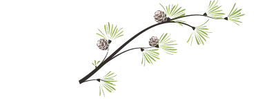 Sierra Mountain Inn Promo Codes