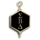 Sigma Beta Delta Promo Codes