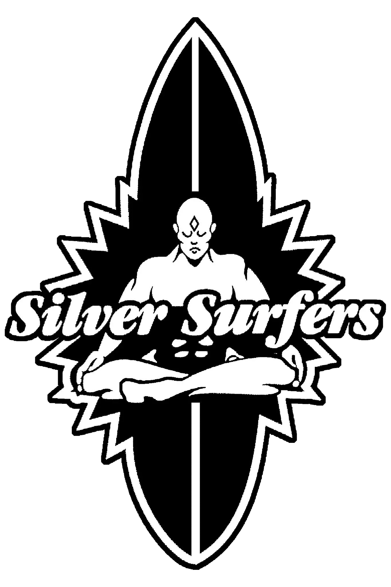 Silver Surfers Promo Codes