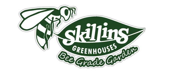 Skillins Promo Codes