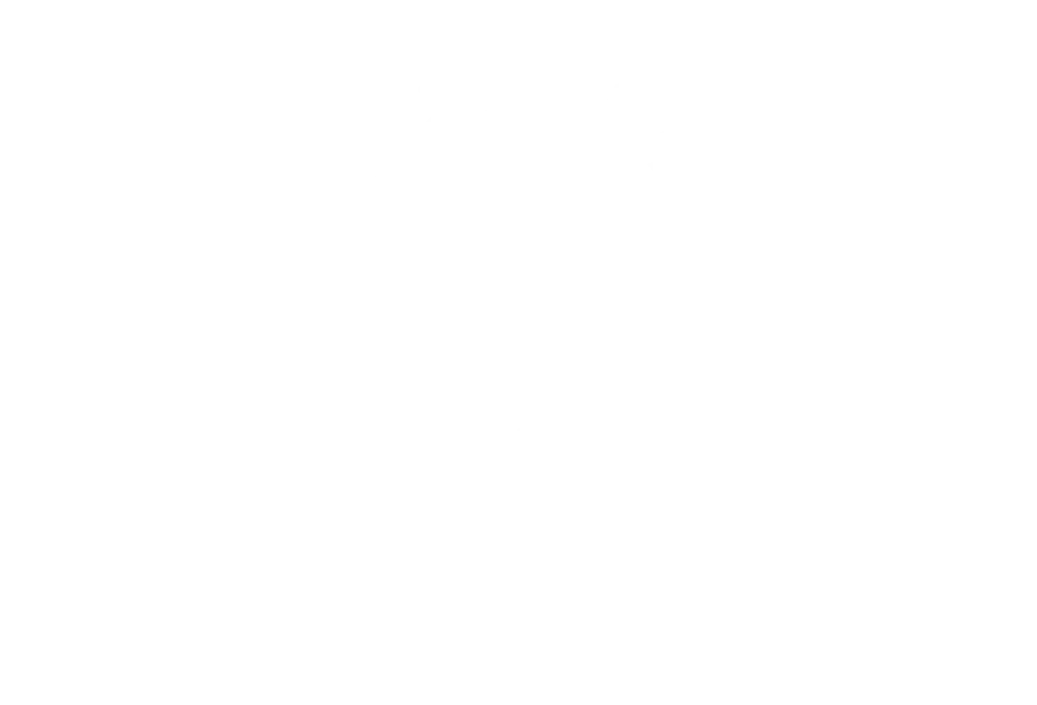 SKYLARANNA Promo Codes