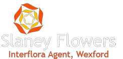 Slaney Flowers Promo Codes