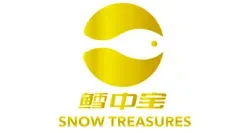 Snow Treasures Promo Codes