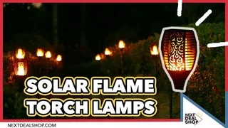 Solar Flame Flickering Lamp Torch Promo Codes