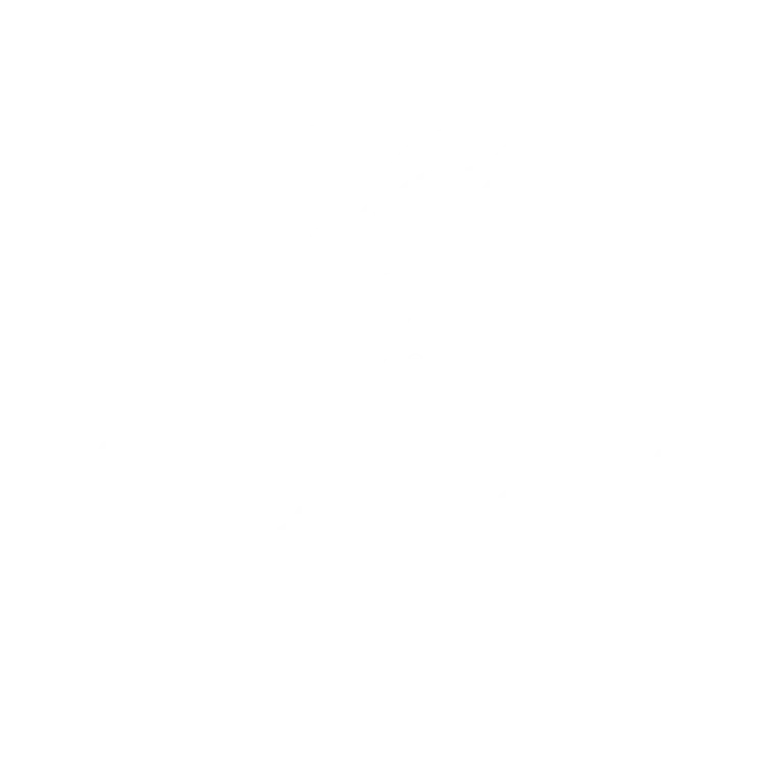 Sophy Hotel Coupons