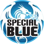 Special Blue Promo Codes