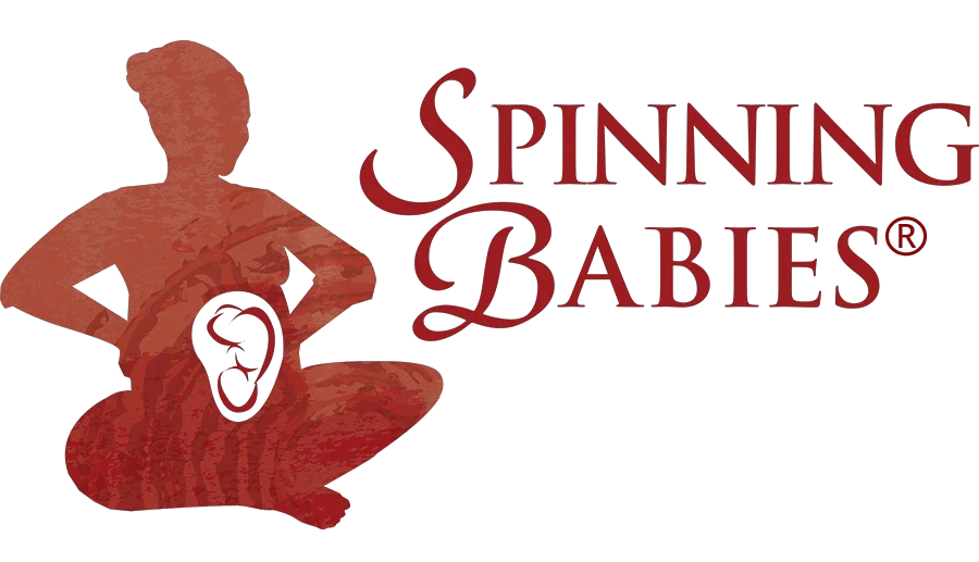 Spinning Babies Promo Codes