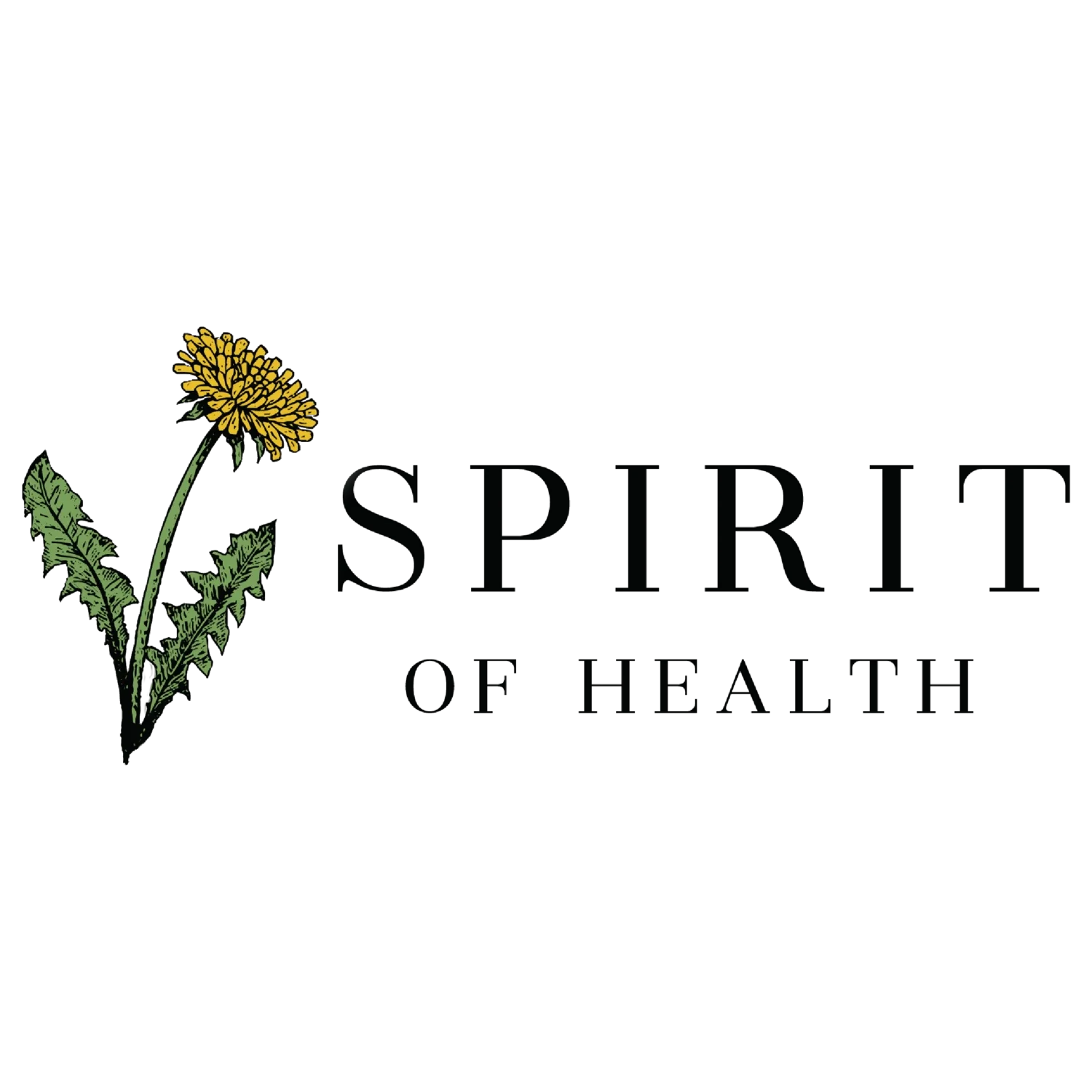 Spirit Of Health KC Promo Codes