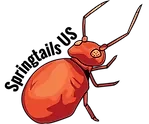 Springtails Promo Codes