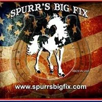 Spurr's Big Fix Promo Codes