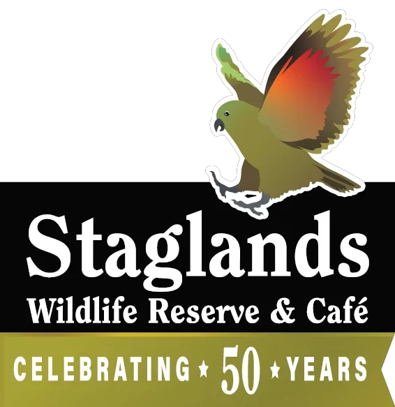 Staglands Coupons