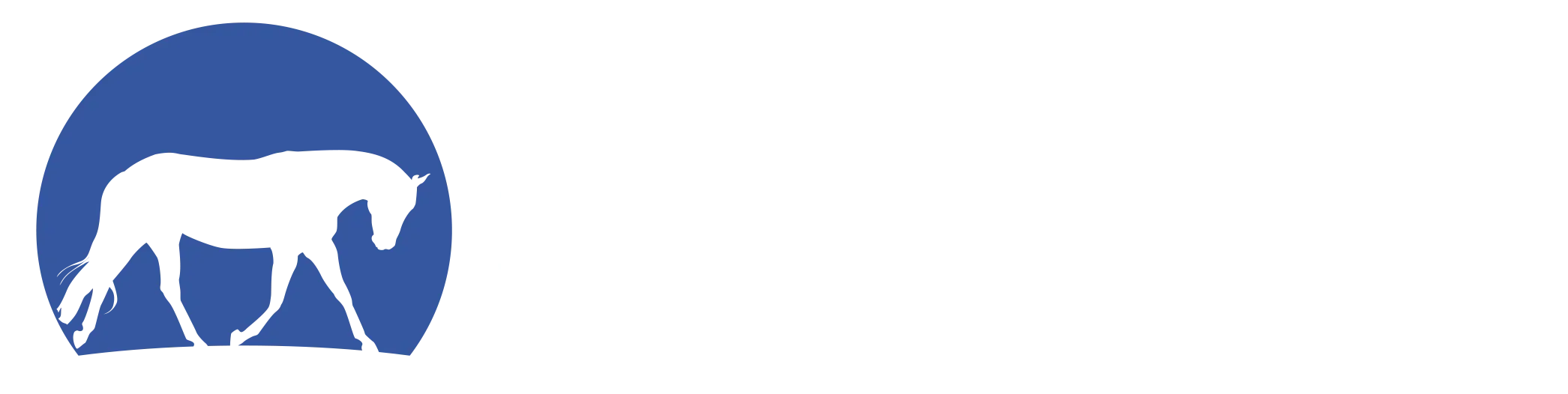 Steady Horse Promo Codes