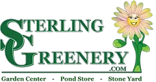 Sterling Greenery Promo Codes