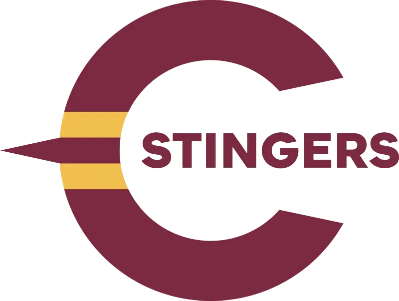 Stingers Promo Codes