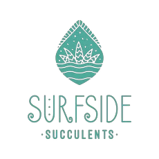 Surfside Succulents Promo Codes