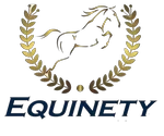 Team Equinety Promo Codes