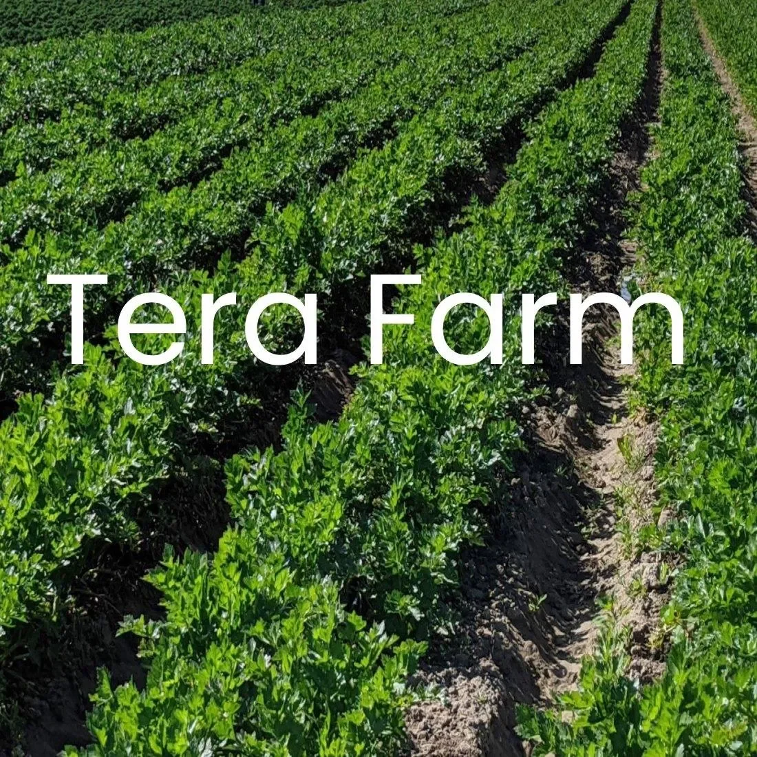 Tera Farm Coupons