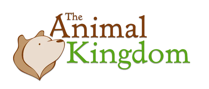 The Animal Kingdom Promo Codes