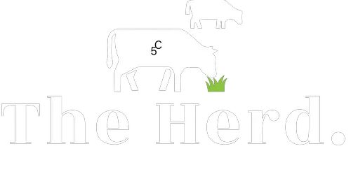 The Herd Promo Codes