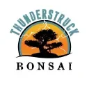 Thunderstruck Bonsai Promo Codes