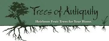 Trees of Antiquity Promo Codes