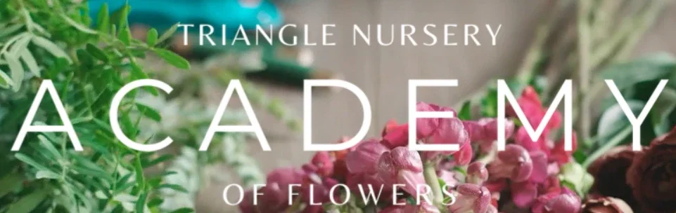 Triangle Flowers Promo Codes