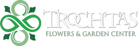 Trochta's Promo Codes