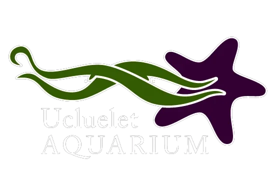 Ucluelet Aquarium Promo Codes