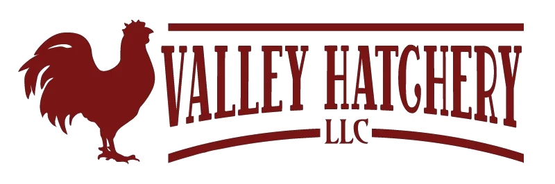 Valley Hatchery Promo Codes