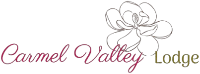 Valley Lodge Coupons