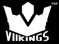 Viikings Promo Codes