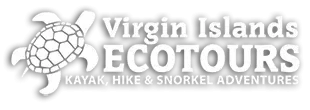 Virgin Islands Ecotours Promo Codes