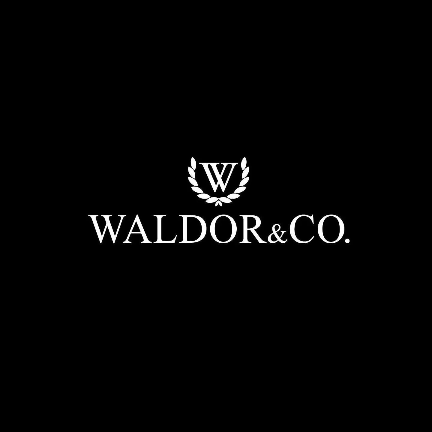 Waldor Promo Codes