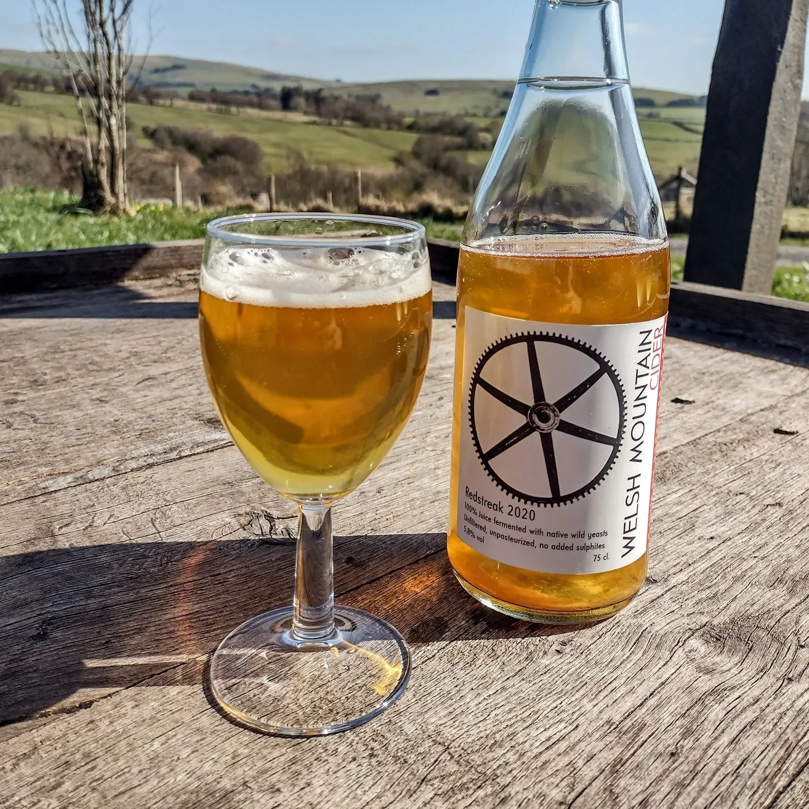 Welsh Mountain Cider Coupons