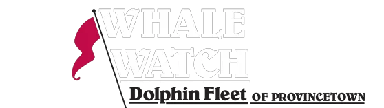 Whale Watch Coupons