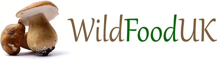 Wild Food Uk Promo Codes