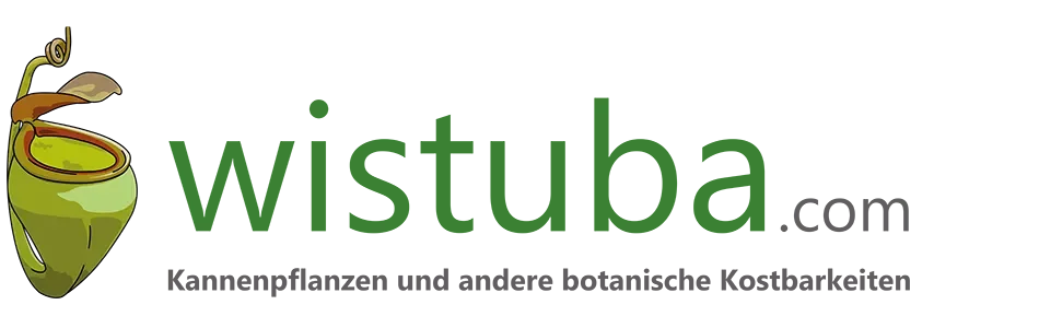 Wistuba Promo Codes