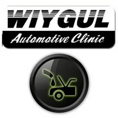 Wiygul Promo Codes