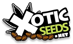 Xotic Seeds Promo Codes