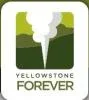 Yellowstone Forever Promo Codes