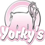 Yorky's Promo Codes