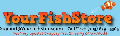 YourFishStore Promo Codes