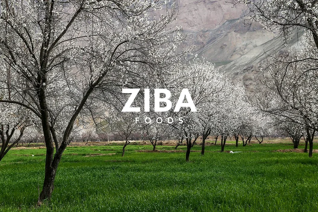 Ziba Foods Promo Codes