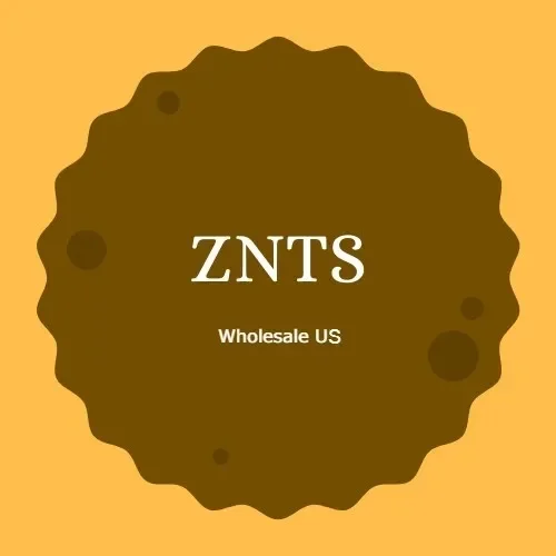 ZNTS Wholesale Promo Codes